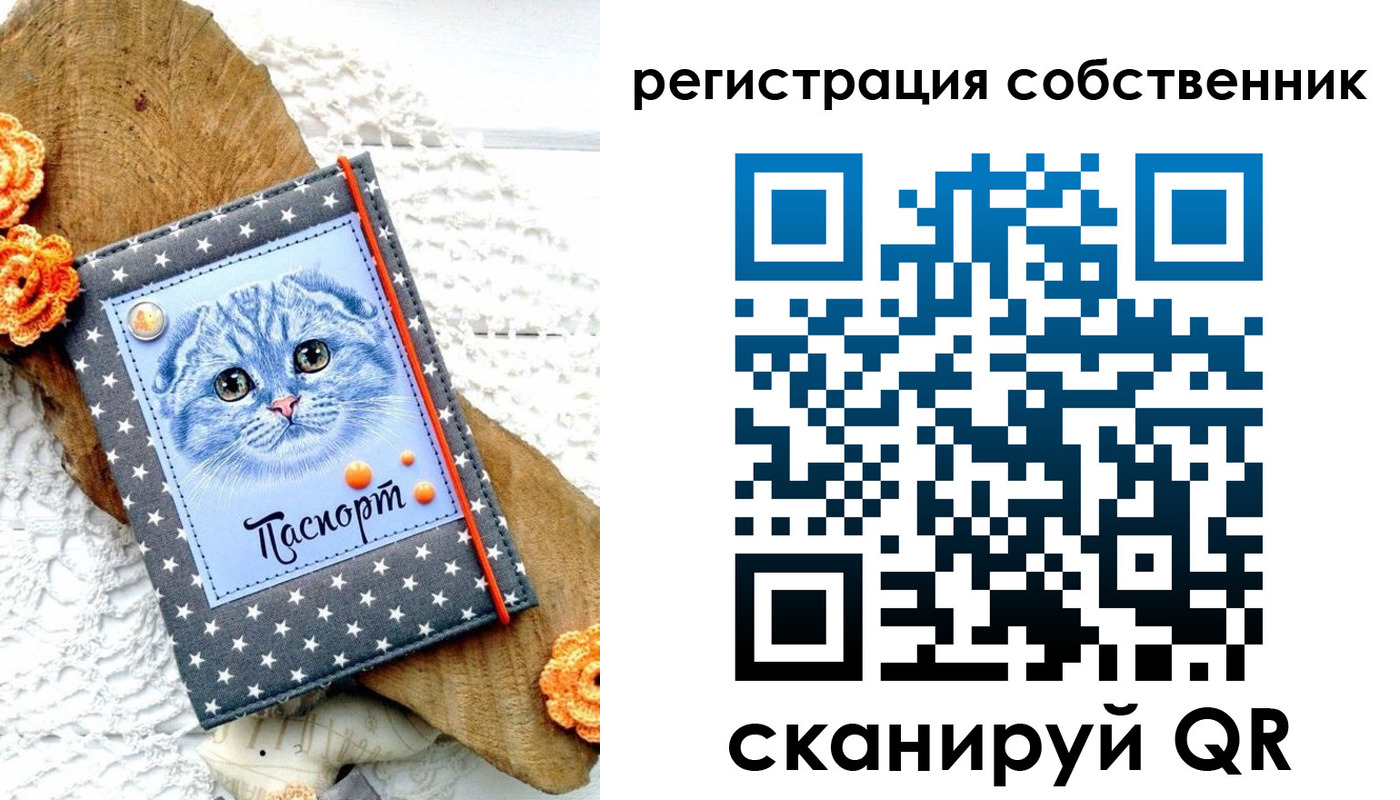 прописка для работы в Жердевке